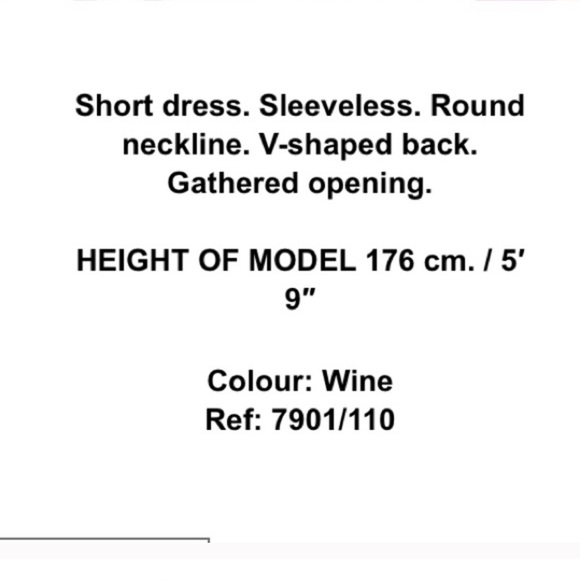 Zara Wine Color Back Cut Out Cocktail Dress - Picture 6 of 6